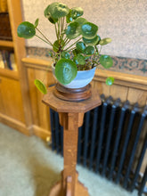 Load image into Gallery viewer, Oak pedestal. Plant stand. Display stand.
